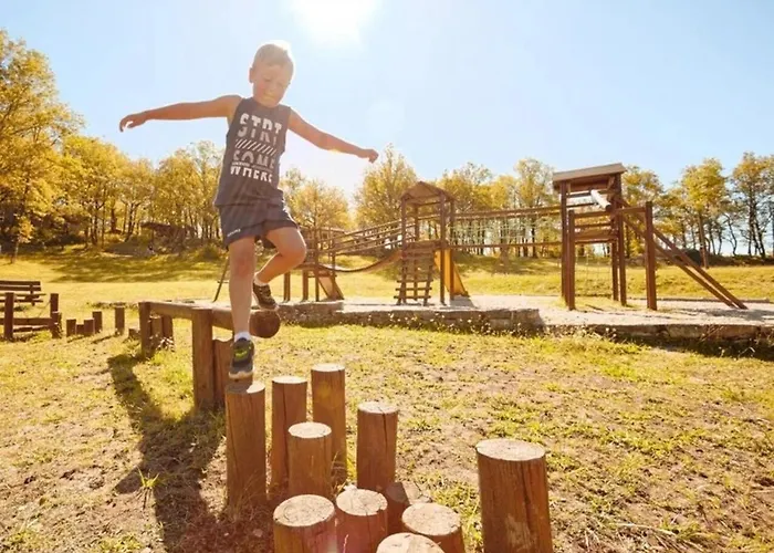 Zecamping 3 Etoiles Pataugeoire Pet Friendly Locatif Bbq 8 Pers *